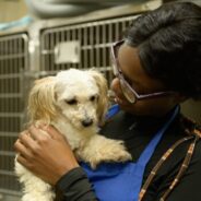 July 2025 Giveaway: Spotlight on shelter medicine
