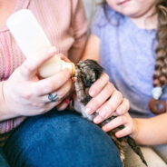 Maddie’s Weekly Roundup: Accomplishing the goal of successful outcomes, the return of Community Conversations and more!