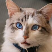 Coming this Monday: The return of Weekly Community Conversations!