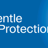 Flea and Tick Prevention 101: The Role of “Natural” or Essential Oils and Pesticides