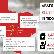 Flood by the Numbers