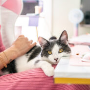 Mark your calendar for these upcoming webcasts!