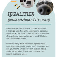Thinking of buying a pet cam?