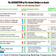 What to Know About APA!’s Position on the Repeal of Austin’s Spay Notification Ordinance