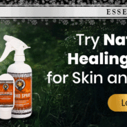 7 Ways to Prevent Skin Problems in Dogs