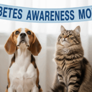 Diabetes Mellitus in Dogs and Cats