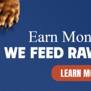 Turn Your Passion for Pet Health into Profit with Raw Diets for Dogs: The Way They Were Born to Eat!