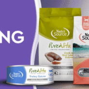 4 Healthy Cat Diet Tips to Prevent Obesity