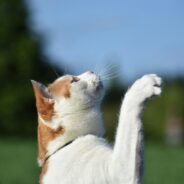 Giveaway: What’s a win you’re celebrating from this past year?