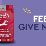 Body Condition, Weight Management, and Healthy Dog Diets