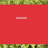 The 4 Herbal Properties of Ashwagandha: Supporting Modern Pet Health with an Ancient Herb