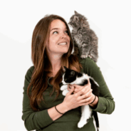 Using Research for Decisions on Working Cat Placements