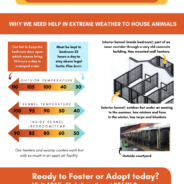 Winter Storm Warning: How You Can Help Austin Pets (and Keep Your Own Safe)