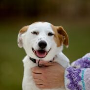 Inspiration from the Field with Daisy Navin