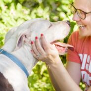 Nine Austin-Area Animal Shelters and Rescues Announce Adoption Event