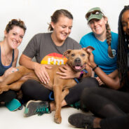 Generating Government Buy-In