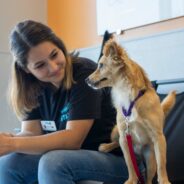 Organizational Culture