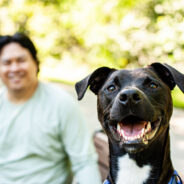 Smarter Supported Self-Rehoming Solutions