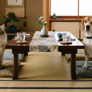 How Much Water Should Your Dog or Cat Drink Each Day?
