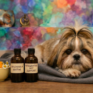 5 Useful Herbs for Recurring Hot Spots in Dogs