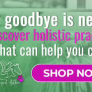 Death and Dying: Navigating Pet Loss with Animal Communication