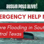 Emergency Help Needed: Responding to Devastating Flooding in South Central Texas