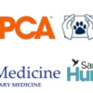Humane Prevention and Management of New World Screwworm (NWS) in Shelter and Rescue Dogs and Cats