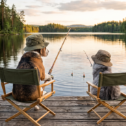 Aquatic Foods for Dogs and Cats
