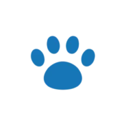 Ask Dr. Paola – My Husky-Lab Keeps Breaking Into Lunchboxes! (July 27, 2026)
