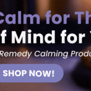 Creating a Calmer Home: 5 Simple Ways to Help Cats and Dogs Relax