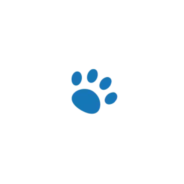 Professional Grooming Secrets Every Dog Owner Should Know