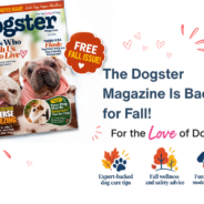The Dogster Digital Magazine: Fall 2026 Issue