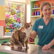 The Gut-Kidney Axis in Cats