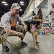 Wildfire Hero: How This German Shepherd Saved Lives